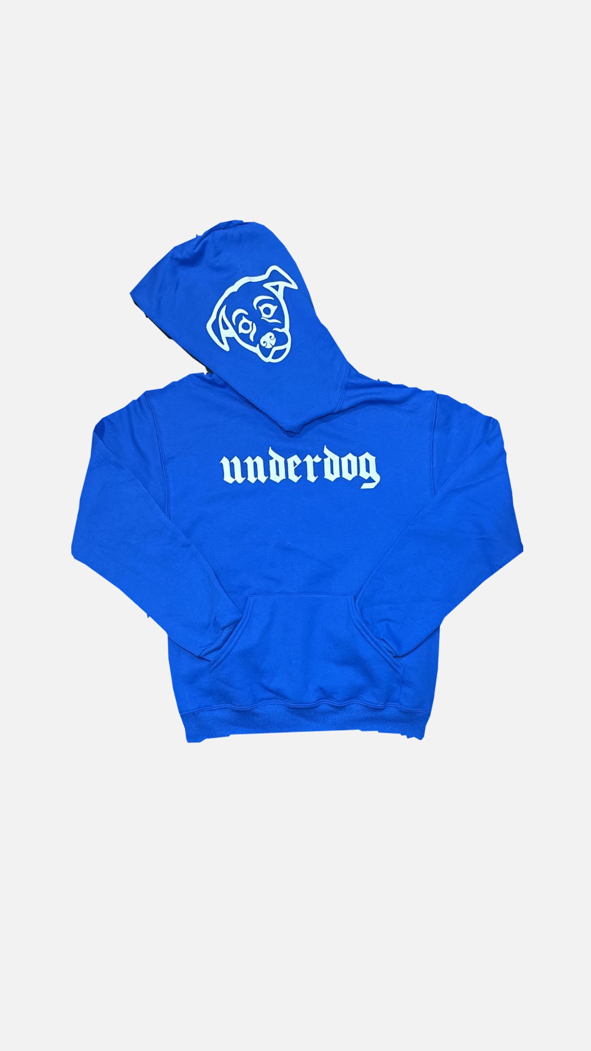 Blue hoodie with with underdog print and dog print on the hood.